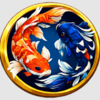 arushokisun's profile image