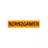 born2gamer's profile image