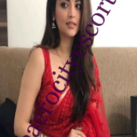 theaerocityescort's profile image