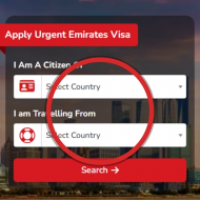 urgentemiratesvisa's profile image